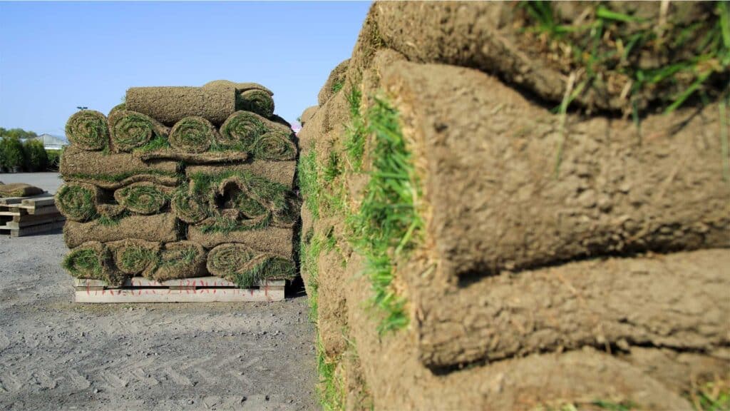 SOD & SOIL PACKAGE – 700 SQFT – ONLY $549.00!