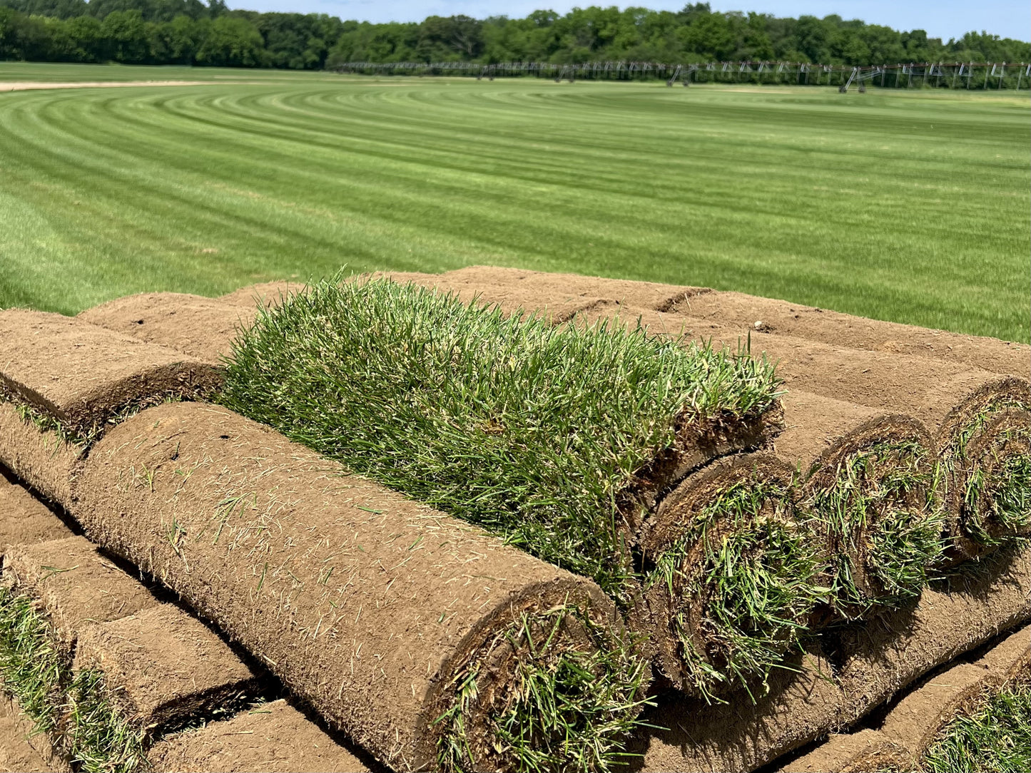 SOD & SOIL PACKAGE – 700 SQFT – ONLY $549.00!