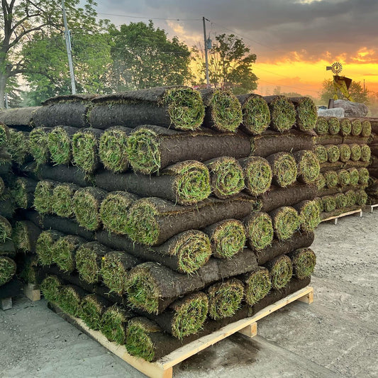 SOD & SOIL PACKAGE – 1400 SQFT – ONLY $849.99