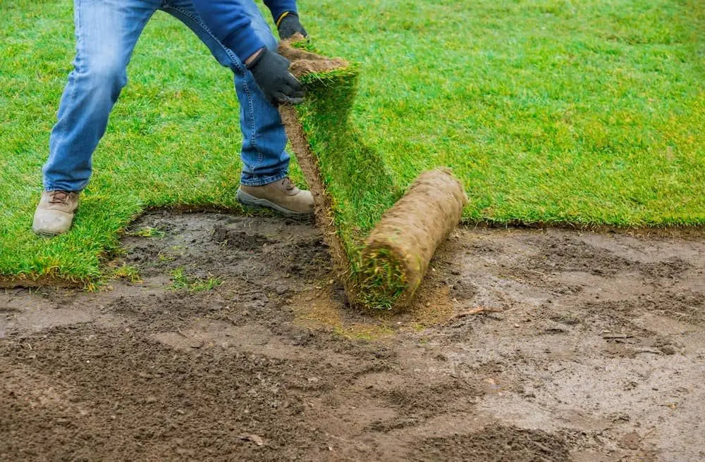 SOD & SOIL PACKAGE – 700 SQFT – ONLY $549.00!