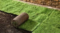 Sod Installation with Topsoil & Grading – Starting at $3.00 per sq. ft.